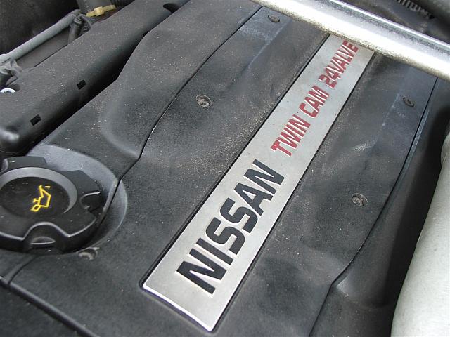 DSCF1873
