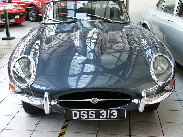 DSCF5504