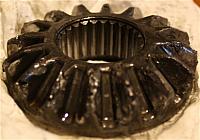 IMG 0802