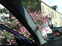 DSCF4195
