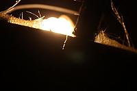 IMG 3021