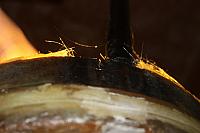 IMG 3022