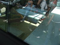 DSCF2698