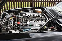 IMG 4724