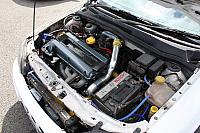 IMG 4729