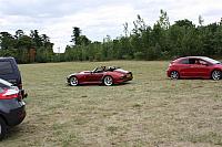 IMG 1481