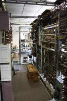 IMG 1571