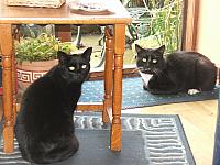 DSCF4931
