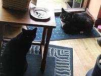 DSCF4932