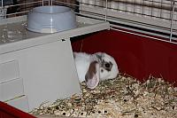 IMG 2475