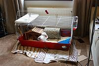 IMG 2479