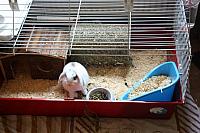 IMG 2481