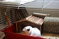 IMG 2486