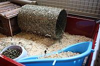 IMG 2488