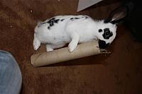 IMG 2519