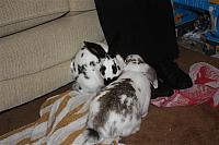 IMG 2888