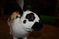 IMG 2891